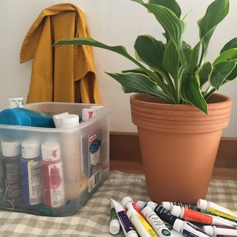 Meet your Posher, Lanae